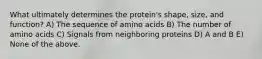 What ultimately determines the protein's shape, size, and function? A) The sequence of amino acids B) The number of amino acids C) Signals from neighboring proteins D) A and B E) None of the above.