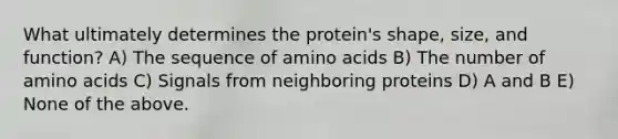 What ultimately determines the protein's shape, size, and function? A) The sequence of <a href='https://www.questionai.com/knowledge/k9gb720LCl-amino-acids' class='anchor-knowledge'>amino acids</a> B) The number of amino acids C) Signals from neighboring proteins D) A and B E) None of the above.