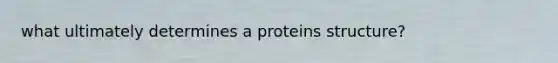 what ultimately determines a proteins structure?