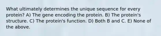 What ultimately determines the unique sequence for every protein? A) The gene encoding the protein. B) The protein's structure. C) The protein's function. D) Both B and C. E) None of the above.