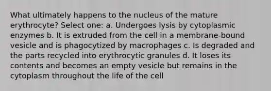 What ultimately happens to the nucleus of the mature erythrocyte? Select one: a. Undergoes lysis by cytoplasmic enzymes b. It is extruded from the cell in a membrane-bound vesicle and is phagocytized by macrophages c. Is degraded and the parts recycled into erythrocytic granules d. It loses its contents and becomes an empty vesicle but remains in the cytoplasm throughout the life of the cell