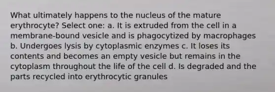 What ultimately happens to the nucleus of the mature erythrocyte? Select one: a. It is extruded from the cell in a membrane-bound vesicle and is phagocytized by macrophages b. Undergoes lysis by cytoplasmic enzymes c. It loses its contents and becomes an empty vesicle but remains in the cytoplasm throughout the life of the cell d. Is degraded and the parts recycled into erythrocytic granules