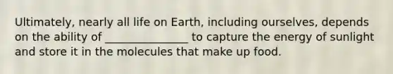 Ultimately, nearly all life on Earth, including ourselves, depends on the ability of _______________ to capture the energy of sunlight and store it in the molecules that make up food.