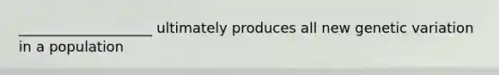 ___________________ ultimately produces all new genetic variation in a population