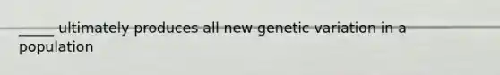 _____ ultimately produces all new genetic variation in a population