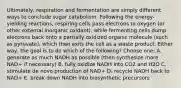 Ultimately, respiration and fermentation are simply different ways to conclude sugar catabolism. Following the energy-yielding reactions, respiring cells pass electrons to oxygen (or other external inorganic oxidant), while fermenting cells dump electrons back onto a partially oxidized organic molecule (such as pyruvate), which then exits the cell as a waste product. Either way, the goal is to do which of the following? Choose one: A. generate as much NADH as possible (then synthesize more NAD+ if necessary) B. fully oxidize NADH into CO2 and H2O C. stimulate de novo production of NAD+ D. recycle NADH back to NAD+ E. break down NADH into biosynthetic precursors