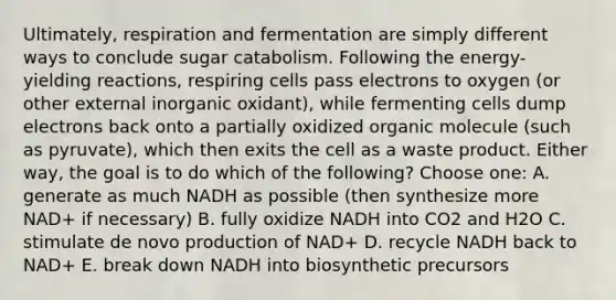 Ultimately, respiration and fermentation are simply different ways to conclude sugar catabolism. Following the energy-yielding reactions, respiring cells pass electrons to oxygen (or other external inorganic oxidant), while fermenting cells dump electrons back onto a partially oxidized organic molecule (such as pyruvate), which then exits the cell as a waste product. Either way, the goal is to do which of the following? Choose one: A. generate as much NADH as possible (then synthesize more NAD+ if necessary) B. fully oxidize NADH into CO2 and H2O C. stimulate de novo production of NAD+ D. recycle NADH back to NAD+ E. break down NADH into biosynthetic precursors