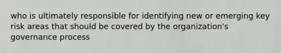 who is ultimately responsible for identifying new or emerging key risk areas that should be covered by the organization's governance process