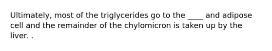 Ultimately, most of the triglycerides go to the ____ and adipose cell and the remainder of the chylomicron is taken up by the liver. .