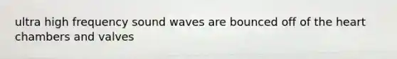 ultra high frequency sound waves are bounced off of the heart chambers and valves