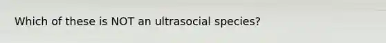 Which of these is NOT an ultrasocial species?