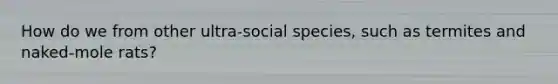 How do we from other ultra-social species, such as termites and naked-mole rats?