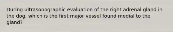 During ultrasonographic evaluation of the right adrenal gland in the dog, which is the first major vessel found medial to the gland?