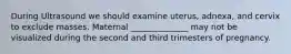 During Ultrasound we should examine uterus, adnexa, and cervix to exclude masses. Maternal ______________ may not be visualized during the second and third trimesters of pregnancy.