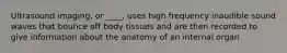 Ultrasound imaging, or ____, uses high frequency inaudible sound waves that bounce off body tissues and are then recorded to give information about the anatomy of an internal organ