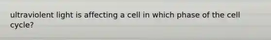 ultraviolent light is affecting a cell in which phase of the cell cycle?