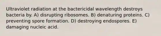 Ultraviolet radiation at the bactericidal wavelength destroys bacteria by. A) disrupting ribosomes. B) denaturing proteins. C) preventing spore formation. D) destroying endospores. E) damaging nucleic acid.