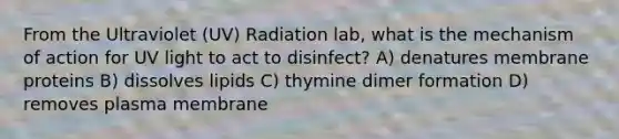 From the Ultraviolet (UV) Radiation lab, what is the mechanism of action for UV light to act to disinfect? A) denatures membrane proteins B) dissolves lipids C) thymine dimer formation D) removes plasma membrane