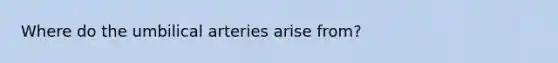 Where do the umbilical arteries arise from?