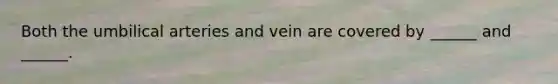 Both the umbilical arteries and vein are covered by ______ and ______.