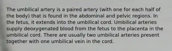 The umbilical artery is a paired artery (with one for each half of the body) that is found in the abdominal and pelvic regions. In the fetus, it extends into the umbilical cord. Umbilical arteries supply deoxygenated blood from the fetus to the placenta in the umbilical cord. There are usually two umbilical arteries present together with one umbilical vein in the cord.