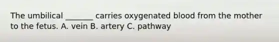 The umbilical _______ carries oxygenated blood from the mother to the fetus. A. vein B. artery C. pathway