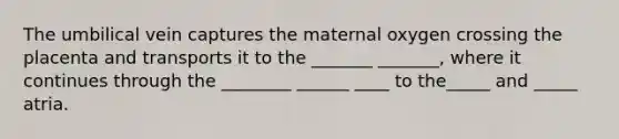 The umbilical vein captures the maternal oxygen crossing the placenta and transports it to the _______ _______, where it continues through the ________ ______ ____ to the_____ and _____ atria.