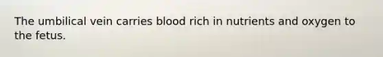 The umbilical vein carries blood rich in nutrients and oxygen to the fetus.