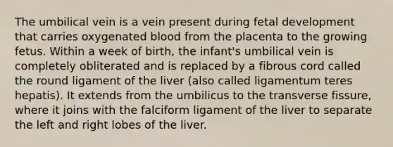 The umbilical vein is a vein present during fetal development that carries oxygenated blood from the placenta to the growing fetus. Within a week of birth, the infant's umbilical vein is completely obliterated and is replaced by a fibrous cord called the round ligament of the liver (also called ligamentum teres hepatis). It extends from the umbilicus to the transverse fissure, where it joins with the falciform ligament of the liver to separate the left and right lobes of the liver.