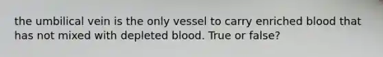 the umbilical vein is the only vessel to carry enriched blood that has not mixed with depleted blood. True or false?