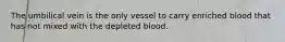 The umbilical vein is the only vessel to carry enriched blood that has not mixed with the depleted blood.