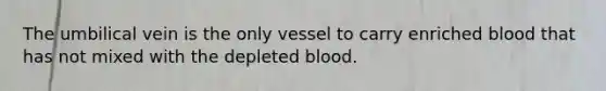 The umbilical vein is the only vessel to carry enriched blood that has not mixed with the depleted blood.