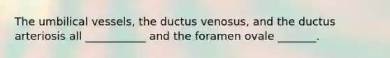 The umbilical vessels, the ductus venosus, and the ductus arteriosis all ___________ and the foramen ovale _______.