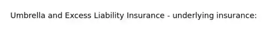 Umbrella and Excess Liability Insurance - underlying insurance: