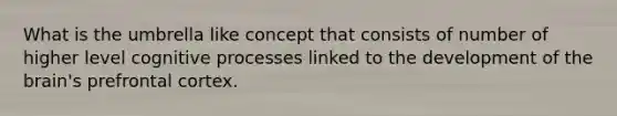 What is the umbrella like concept that consists of number of higher level cognitive processes linked to the development of the brain's prefrontal cortex.