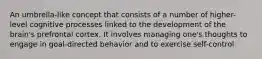 An umbrella-like concept that consists of a number of higher-level cognitive processes linked to the development of the brain's prefrontal cortex. It involves managing one's thoughts to engage in goal-directed behavior and to exercise self-control