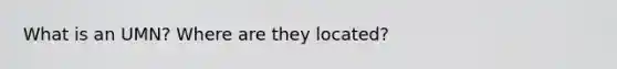 What is an UMN? Where are they located?