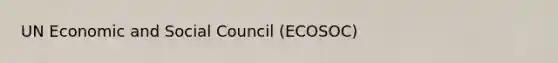 UN Economic and Social Council (ECOSOC)