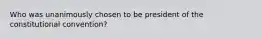 Who was unanimously chosen to be president of the constitutional convention?