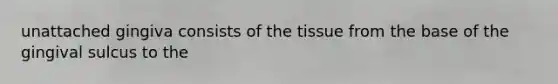 unattached gingiva consists of the tissue from the base of the gingival sulcus to the