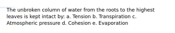 The unbroken column of water from the roots to the highest leaves is kept intact by: a. Tension b. Transpiration c. Atmospheric pressure d. Cohesion e. Evaporation