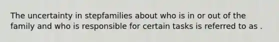 The uncertainty in stepfamilies about who is in or out of the family and who is responsible for certain tasks is referred to as .