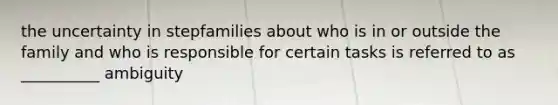 the uncertainty in stepfamilies about who is in or outside the family and who is responsible for certain tasks is referred to as __________ ambiguity