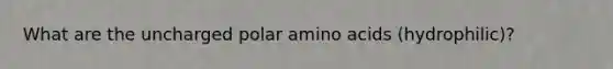 What are the uncharged polar amino acids (hydrophilic)?