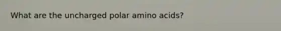What are the uncharged polar amino acids?