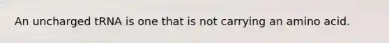 An uncharged tRNA is one that is not carrying an amino acid.
