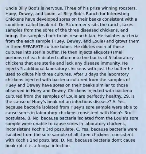 Uncle Billy Bob's is nervous. Three of his prize winning roosters, Huey, Dewey, and Louie, at Billy Bob's Ranch for Interesting Chickens have developed sores on their beaks consistent with a condition called beak rot. Dr. Strummer visits the ranch, takes samples from the sores of the three diseased chickens, and brings the samples back to his research lab. He isolates bacteria from the each sample (Huey, Dewey, and Louie) and grows them in three SEPARATE culture tubes. He dilutes each of these cultures into sterile buffer. He then injects aliquots (small portions) of each diluted culture into the backs of 5 laboratory chickens that are sterile and lack any disease immunity. He injects 5 additional laboratory chickens with just the buffer he used to dilute his three cultures. After 3 days the laboratory chickens injected with bacteria cultured from the samples of Huey and Dewey have sores on their beaks similar to those observed in Huey and Dewey. Chickens injected with bacteria cultured from the samples of Louie are perfectly healthy. 29. Is the cause of Huey's beak rot an infectious disease? A. Yes, because bacteria isolated from Huey's sore sample were able to cause sores in laboratory chickens consistent with Koch's 3rd postulate. B. No, because bacteria isolated from the Louie's sore sample were unable to cause sores in laboratory chickens, inconsistent Koch's 3rd postulate. C. Yes, because bacteria were isolated from the sore sample of all three chickens, consistent with Koch's 2nd postulate. D. No, because bacteria don't cause beak rot, it is a fungal infection.