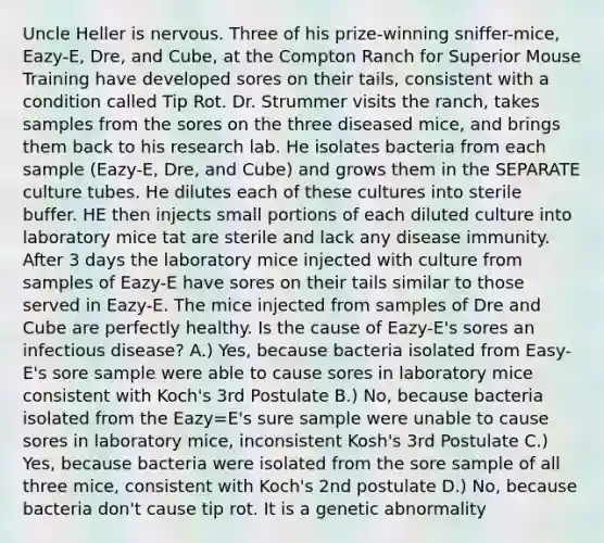 Uncle Heller is nervous. Three of his prize-winning sniffer-mice, Eazy-E, Dre, and Cube, at the Compton Ranch for Superior Mouse Training have developed sores on their tails, consistent with a condition called Tip Rot. Dr. Strummer visits the ranch, takes samples from the sores on the three diseased mice, and brings them back to his research lab. He isolates bacteria from each sample (Eazy-E, Dre, and Cube) and grows them in the SEPARATE culture tubes. He dilutes each of these cultures into sterile buffer. HE then injects small portions of each diluted culture into laboratory mice tat are sterile and lack any disease immunity. After 3 days the laboratory mice injected with culture from samples of Eazy-E have sores on their tails similar to those served in Eazy-E. The mice injected from samples of Dre and Cube are perfectly healthy. Is the cause of Eazy-E's sores an infectious disease? A.) Yes, because bacteria isolated from Easy-E's sore sample were able to cause sores in laboratory mice consistent with Koch's 3rd Postulate B.) No, because bacteria isolated from the Eazy=E's sure sample were unable to cause sores in laboratory mice, inconsistent Kosh's 3rd Postulate C.) Yes, because bacteria were isolated from the sore sample of all three mice, consistent with Koch's 2nd postulate D.) No, because bacteria don't cause tip rot. It is a genetic abnormality