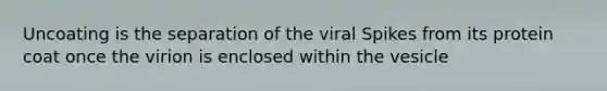 Uncoating is the separation of the viral Spikes from its protein coat once the virion is enclosed within the vesicle