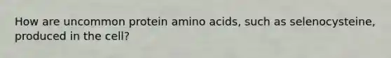 How are uncommon protein amino acids, such as selenocysteine, produced in the cell?